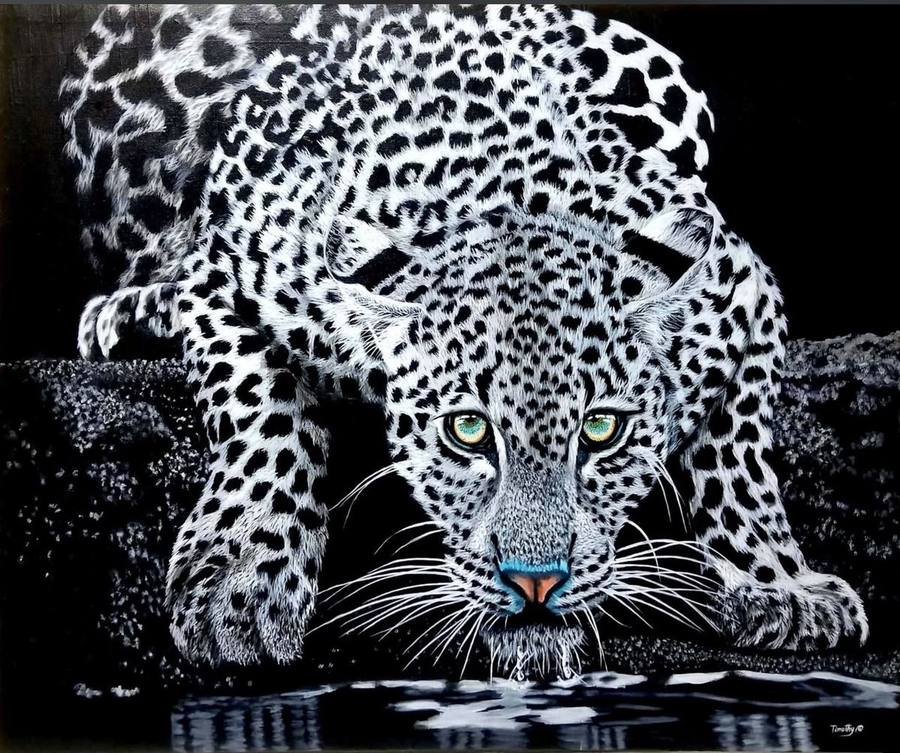 Acrylic painting of a leopard crouching to drink at a waterhole with its reflection
